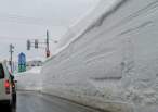 Tons Of Freakin Snow!.jpg