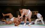 Sumo.jpg