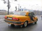 Bear In Taxi.jpg