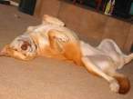 Lay down.jpg