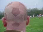 Search the Ball.jpg