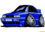 audiquat1.jpg