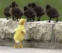 Fw something to make you smile8.jpg