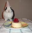 Happy birthday.jpg