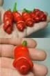 Sexy food.jpg