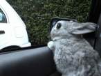 Driving.jpg