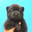 Teddy Bear.jpg