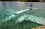 Water landing [18+].jpg