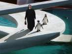 Nun.jpg