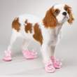 Slippers.jpg