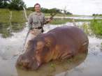 Hippo.jpg