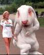 Wasted wabbit.jpg