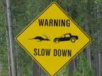 Slow down.jpg