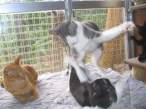 Fight.jpg