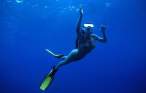 Diver [18+].jpg