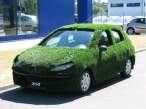 Golf 206.jpg