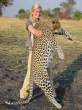 Big kitty.jpg