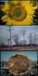Before and after.jpg