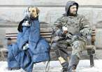 Cold days.jpg