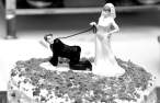 Marrige.jpg