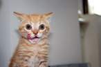 Feed me now.jpg