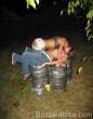 kissing0067.jpg