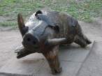 Pig.jpg