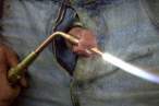 Flame [18+].jpg