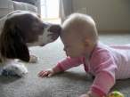 Sniff.jpg