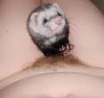 Trapped [18+].jpg