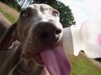 Lick.jpg