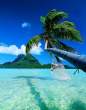 bora bora2.jpg