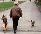 Walk.jpg