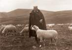 Pastir sa svojim stadom, planina Zlatibor.JPG