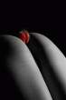 Strawberry [18+].jpg