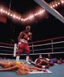 Boxing.jpg