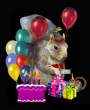 Shaolin Happy Birhthday!.jpg
