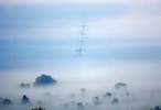 Fog.jpg