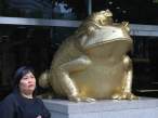 Golden frog.jpg