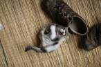 Shoe fight.jpg
