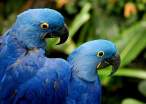 Blue and blue.jpg
