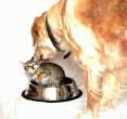 Lunch.jpg