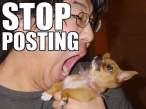 Stop Posting.jpg