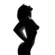 Silhouette [18+].jpg