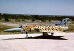 sa_cheetah-c_7.jpg
