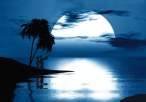 Moonlight.jpg