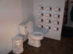 Toilet paper.jpg
