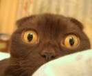 Shocked.jpg