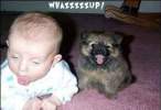 wassup.jpg