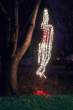 Deer Hunter's Christmas Lights.jpg